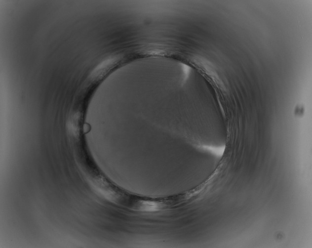 X0000100340167200807031307