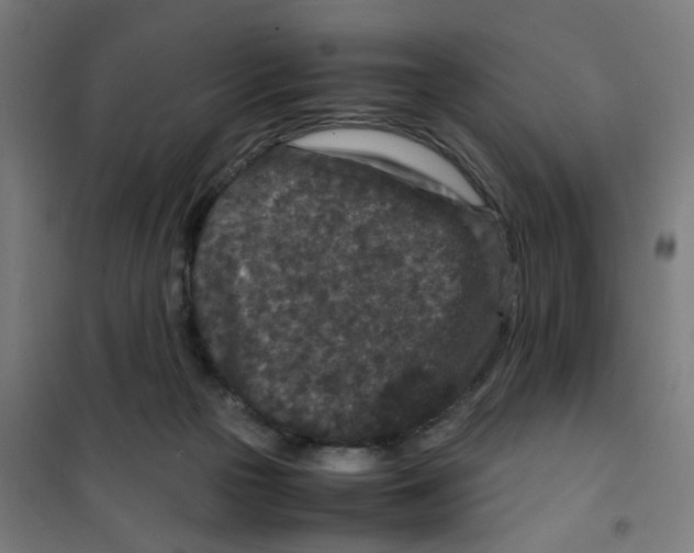 X0000100340169200807031307