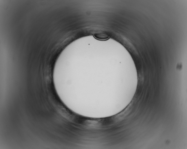 X0000100340170200807031307