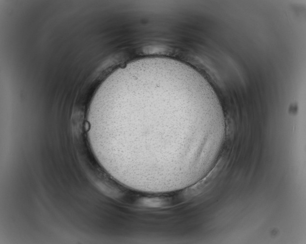 X0000100340171200807031307