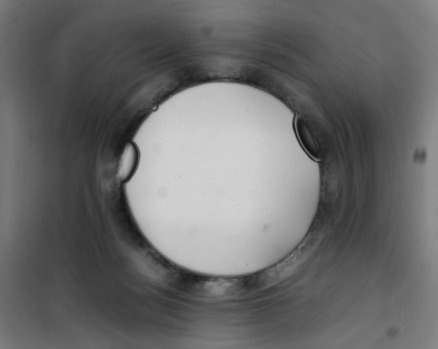 X0000100340172200807031307