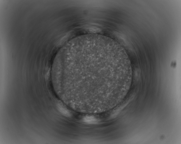 X0000100340177200807031307