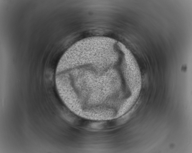 X0000100340178200807031307