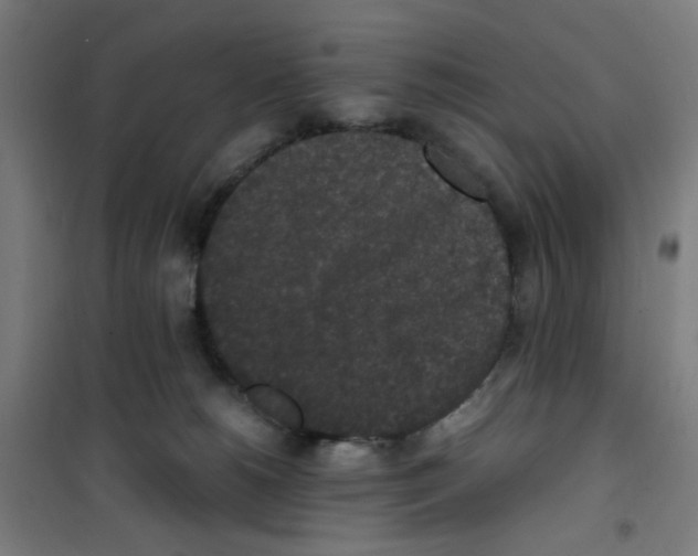 X0000100340180200807031307