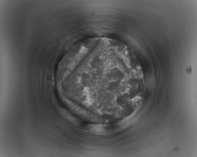 X0000100340182200807031307