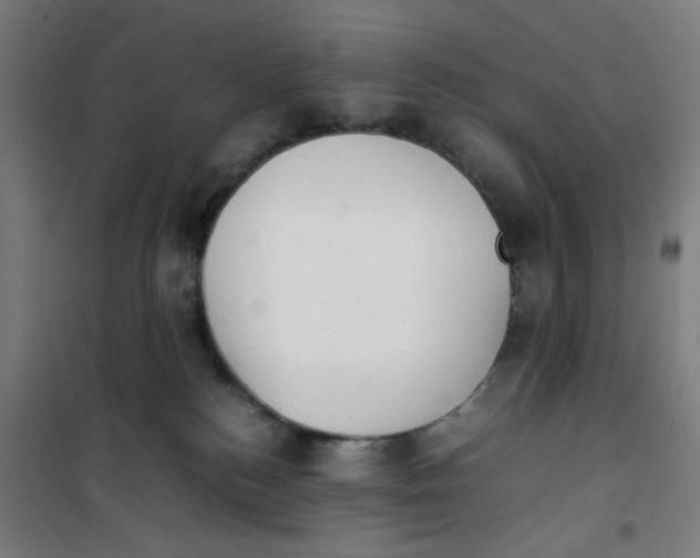 X0000100340184200807031307