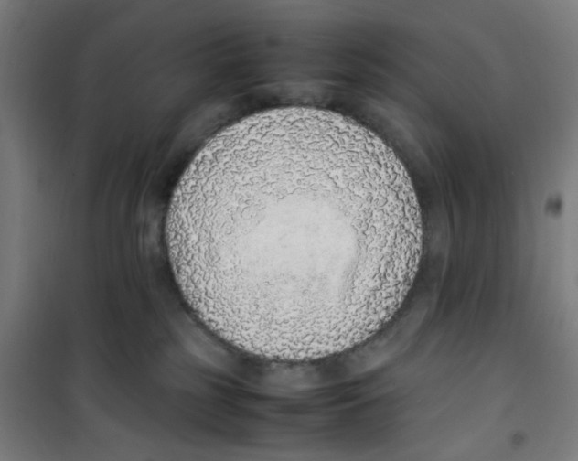 X0000100340185200807031307