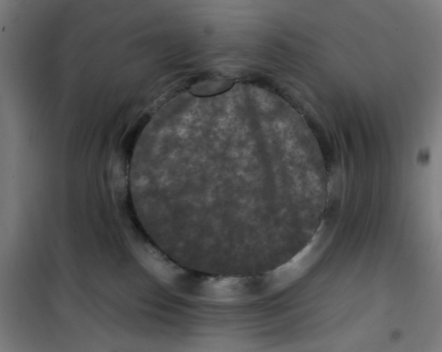 X0000100340186200807031307