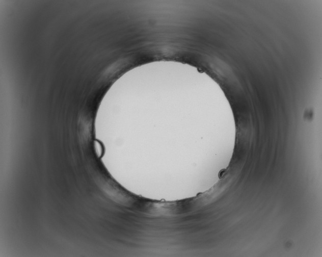 X0000100340188200807031307