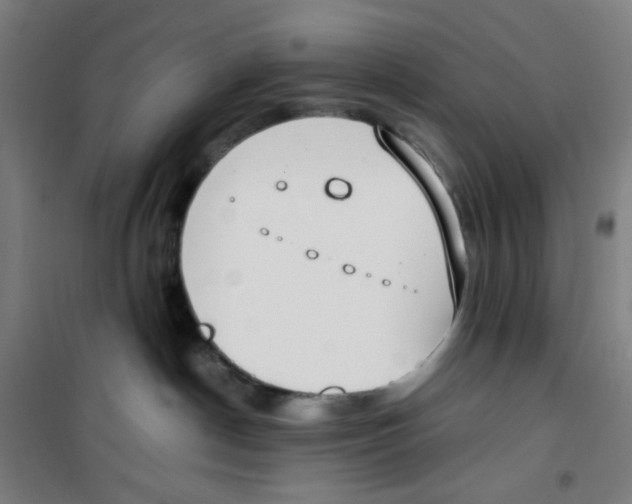 X0000100340190200807031307