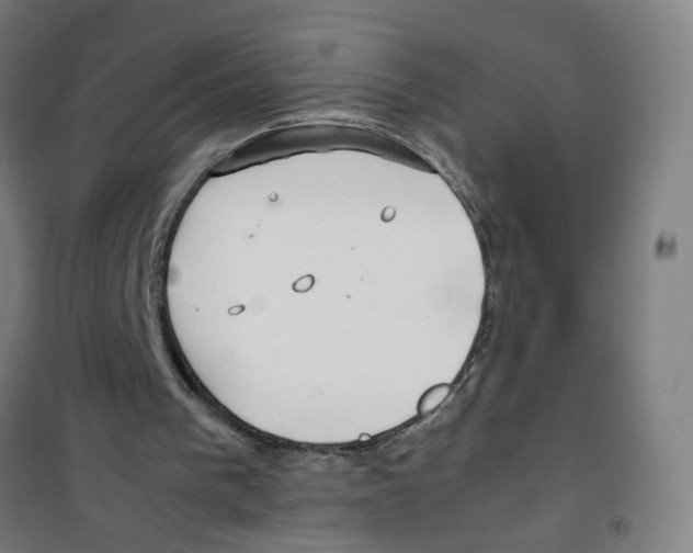 X0000100340193200807031306