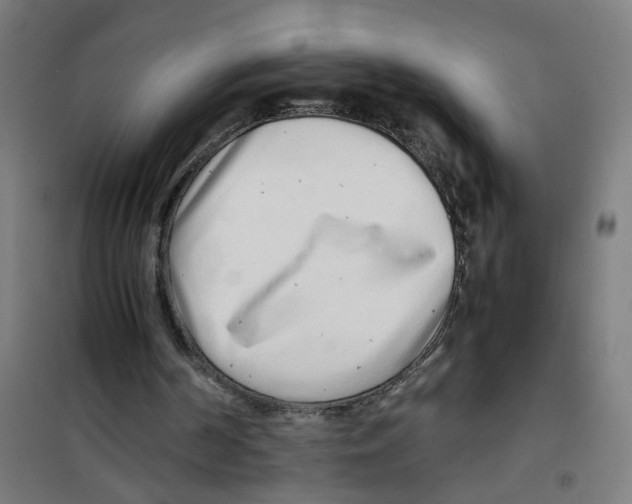 X0000100340194200807031306