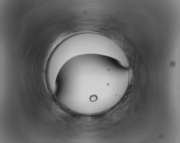 X0000100340195200807031306