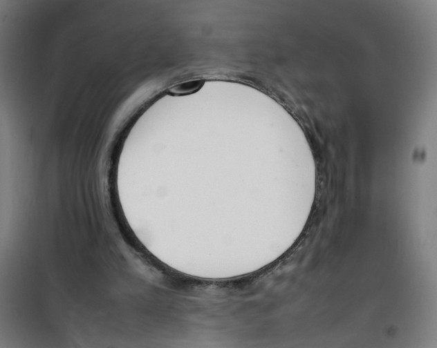 X0000100340197200807031306