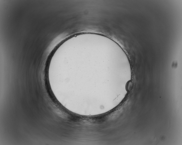 X0000100340199200807031306