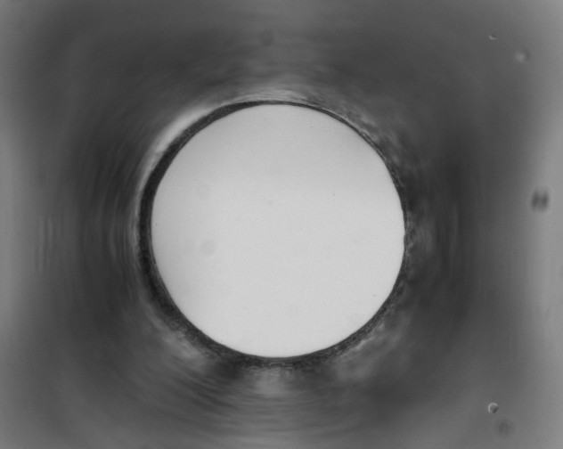 X0000100340200200807031306