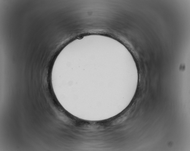 X0000100340201200807031306