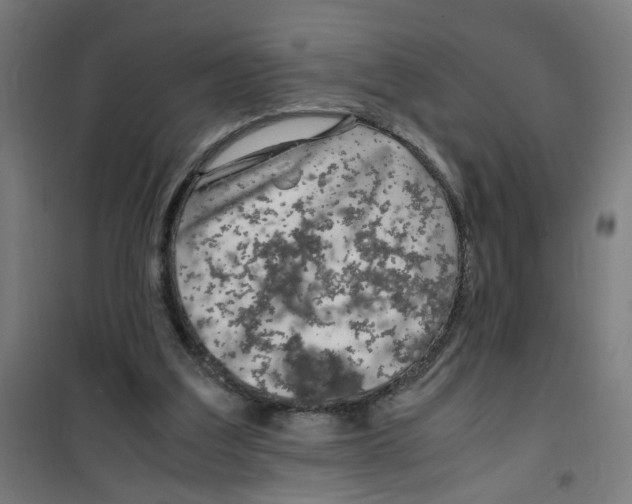 X0000100340203200807031306