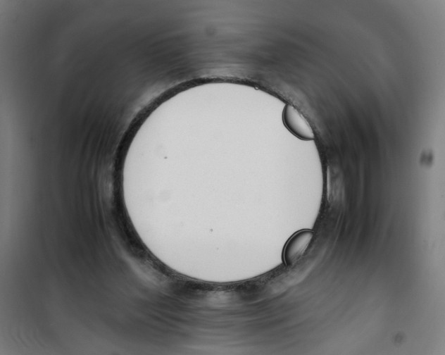 X0000100340204200807031306