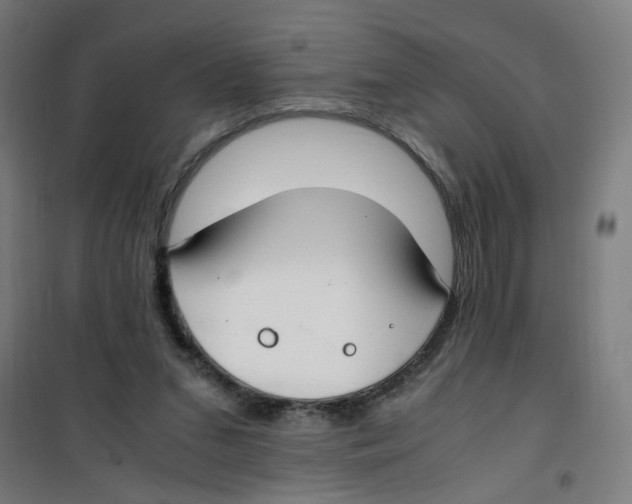 X0000100340207200807031306