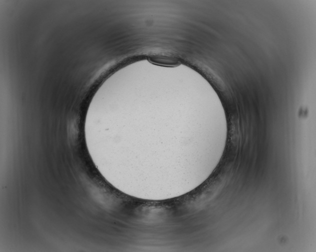 X0000100340208200807031306