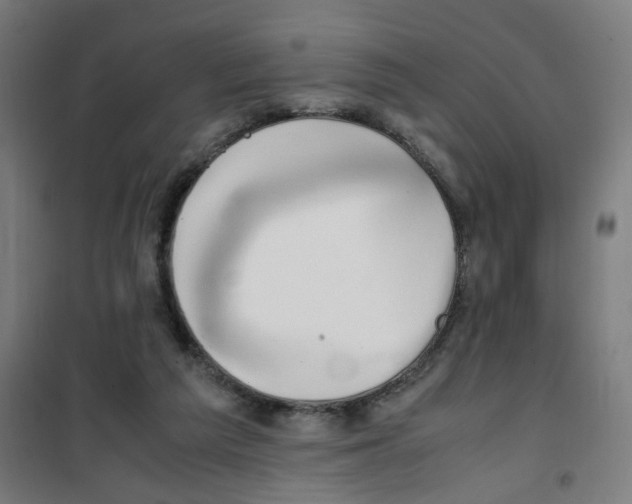 X0000100340209200807031306