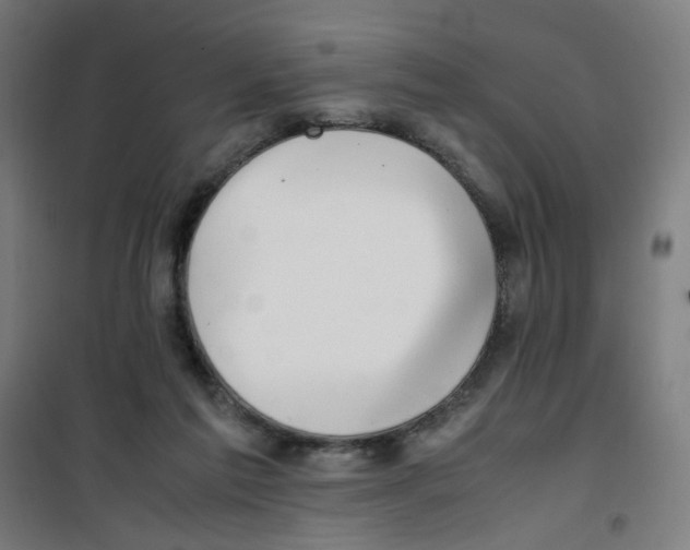 X0000100340213200807031306