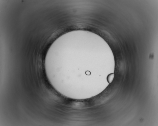 X0000100340220200807031306