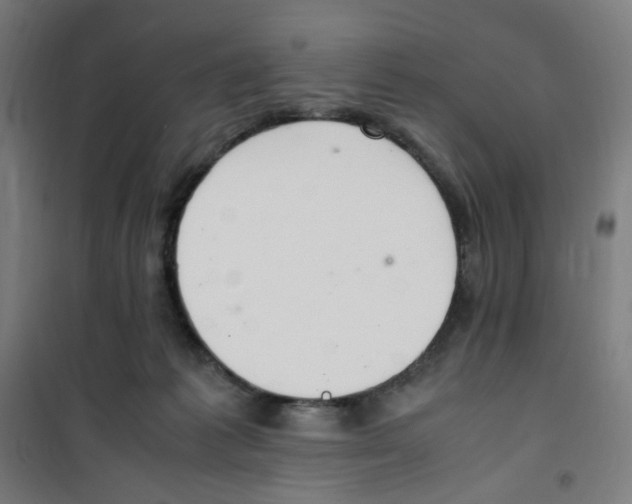 X0000100340221200807031306