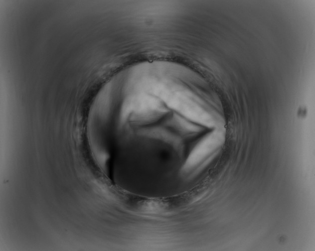 X0000100340223200807031306