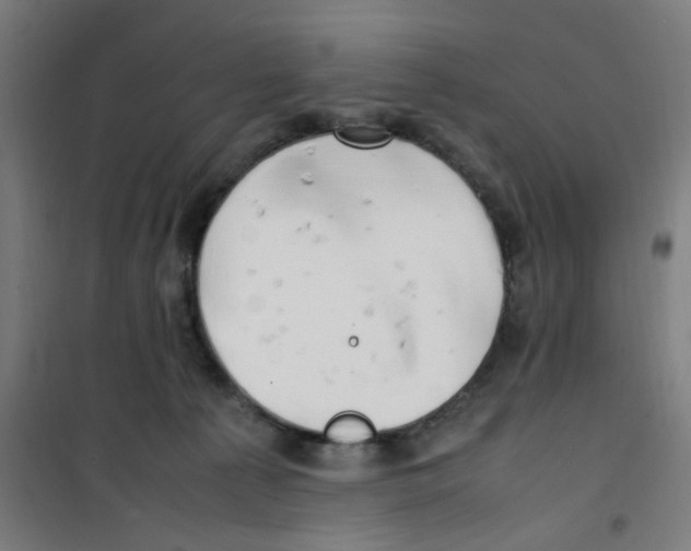 X0000100340225200807031306