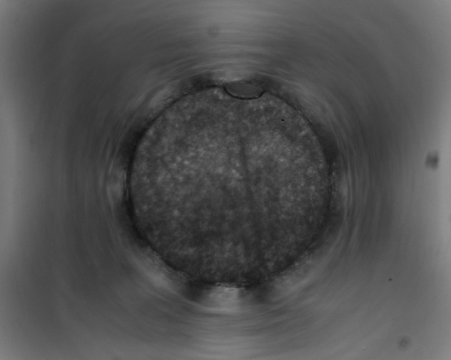 X0000100340227200807031306