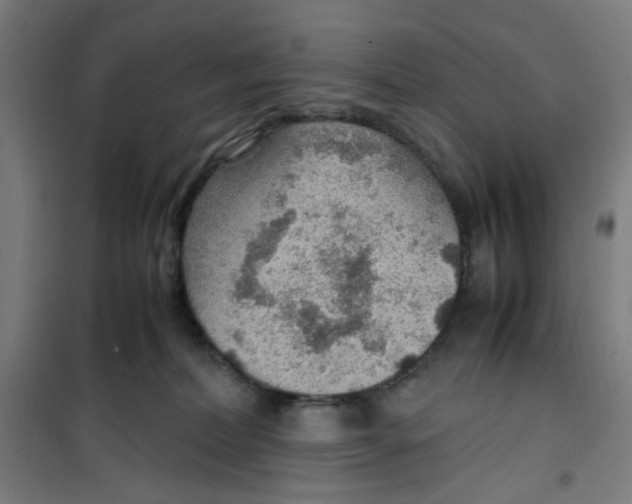 X0000100340228200807031306