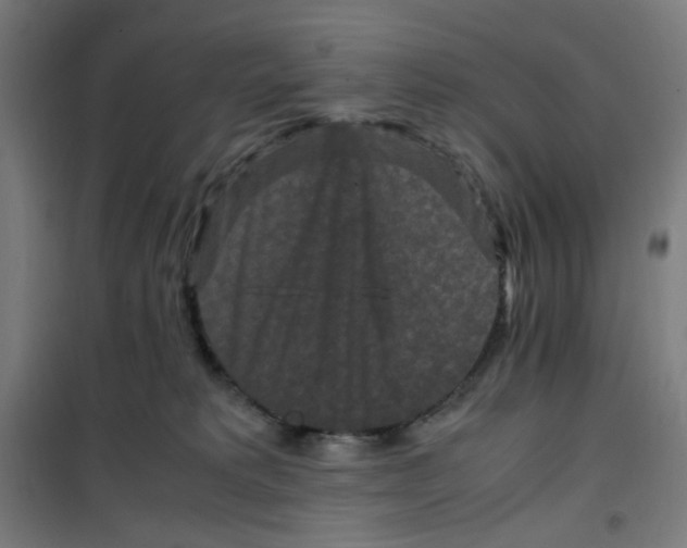 X0000100340229200807031306