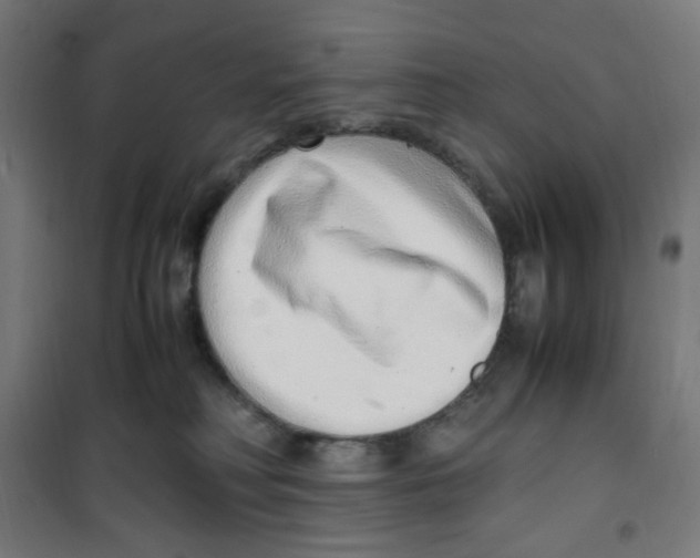 X0000100340230200807031306