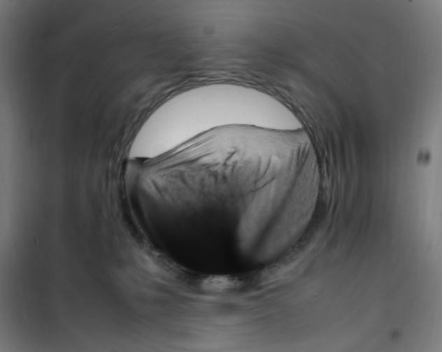 X0000100340231200807031306