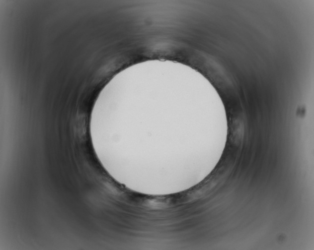 X0000100340232200807031306