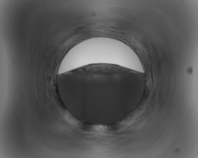 X0000100340233200807031306