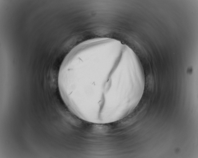 X0000100340234200807031306