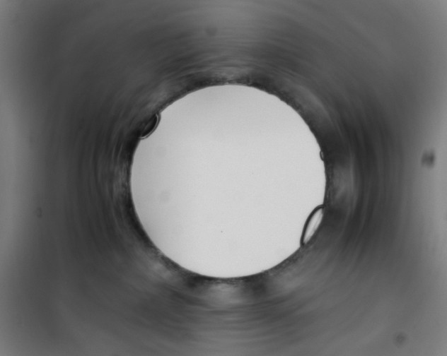 X0000100340236200807031306