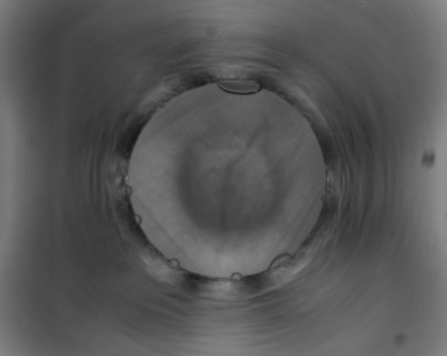 X0000100340237200807031306