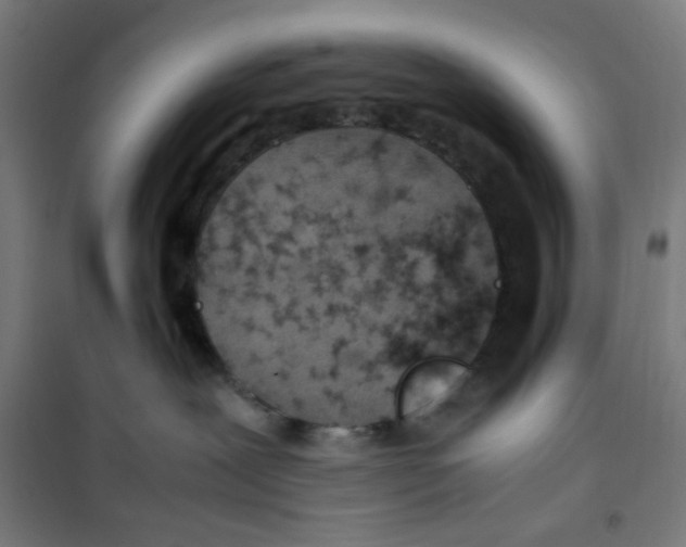 X0000100340239200807031306