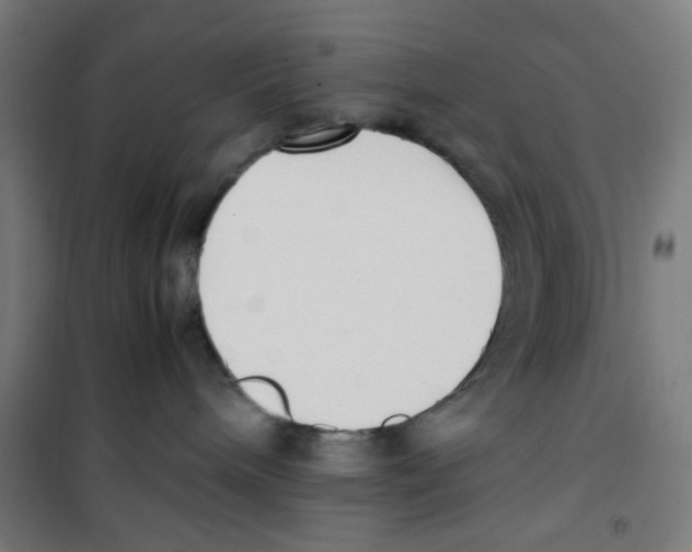 X0000100340240200807031306