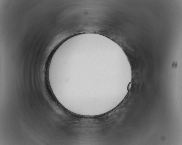 X0000100340242200807031305