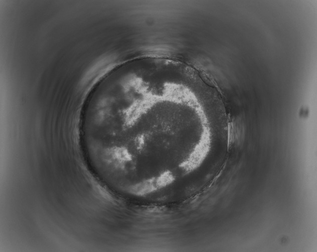 X0000100340243200807031305