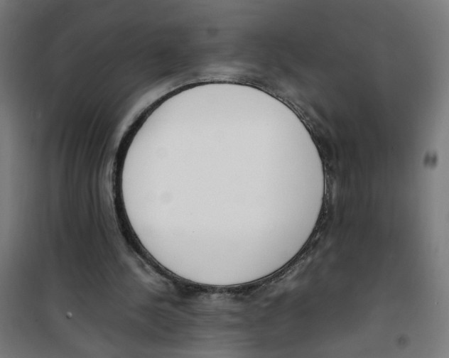 X0000100340244200807031305