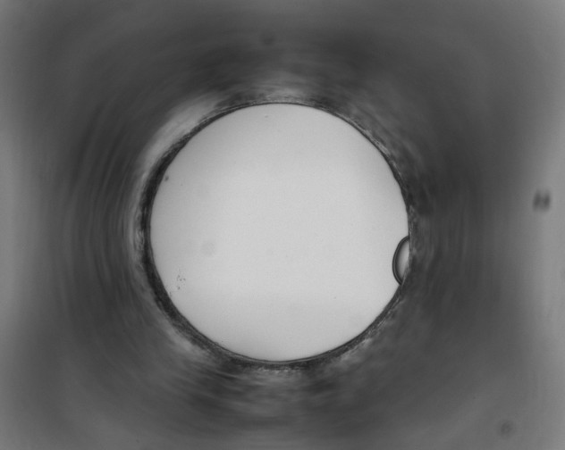 X0000100340245200807031305