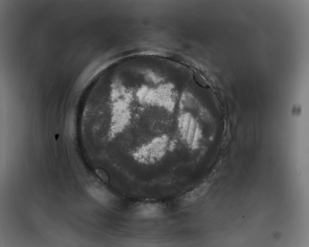 X0000100340247200807031305