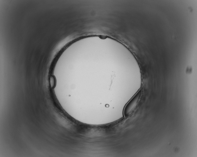 X0000100340248200807031305