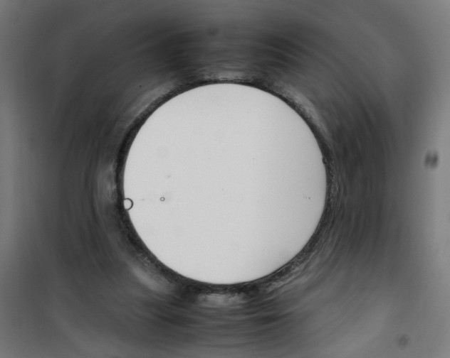 X0000100340251200807031305